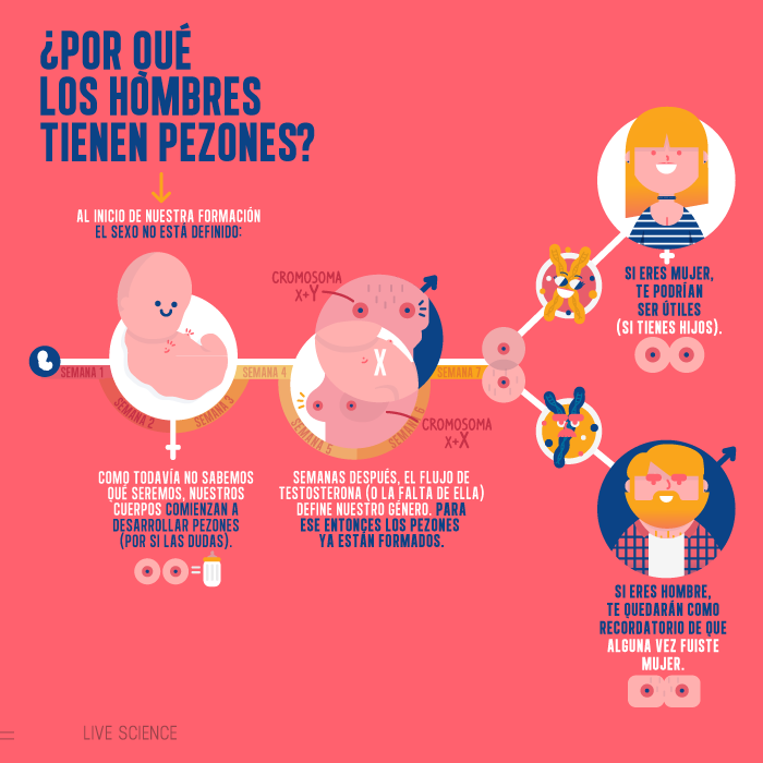 tumblr_o1l6t1sr3n1uvdvcpo1_1280